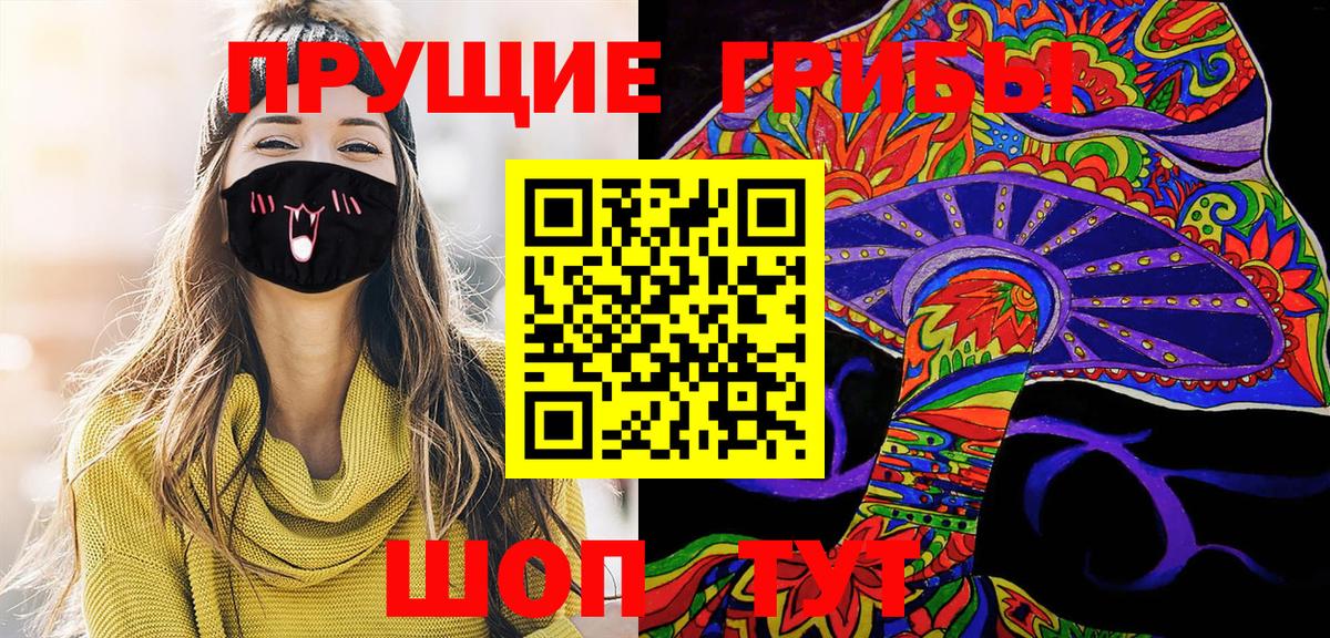 Псилоцибиновые грибы прущие грибы Курчалой