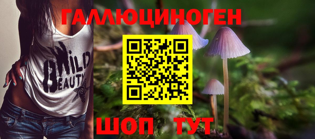 Галлюциногенные грибы мицелий  Вход с VPN  Псилоцибиновые грибы MAGIC MUSHROOMS  Курчалой 